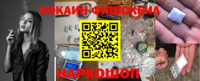 гашик Будённовск