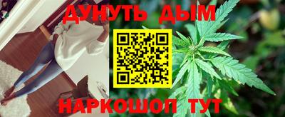гашик Будённовск