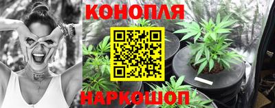 прущие крисы Бузулук