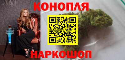 гашик Будённовск