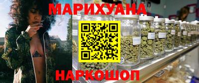 гашик Будённовск