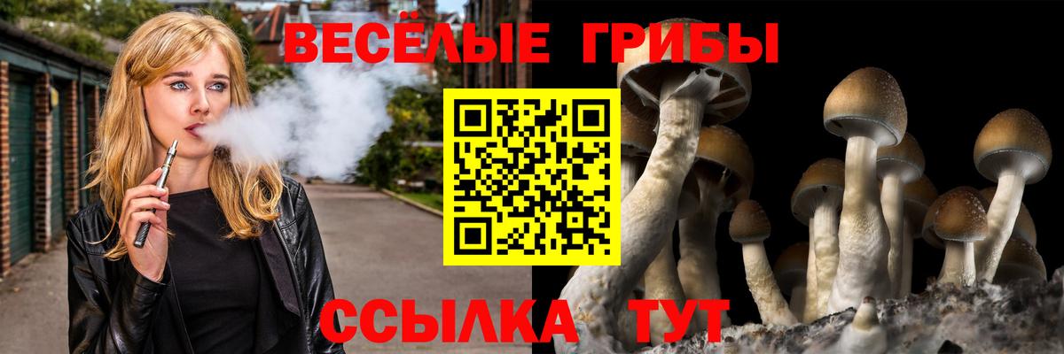 Галлюциногенные грибы ЛСД Кубинка